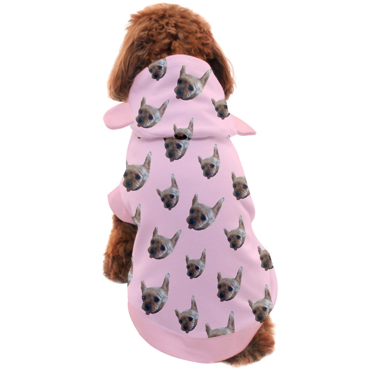 angels's face Furbaby Dog Coat