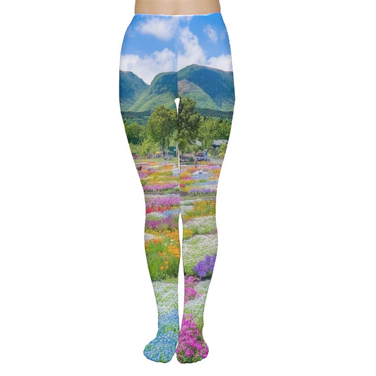 Rainbow on the Plane Tights