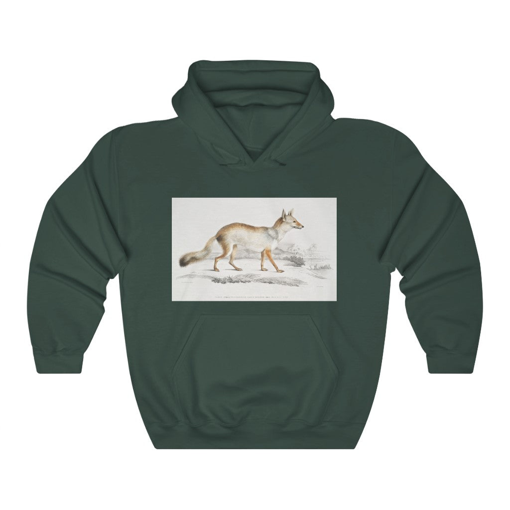 fox zoology Hooded Sweatshirt
