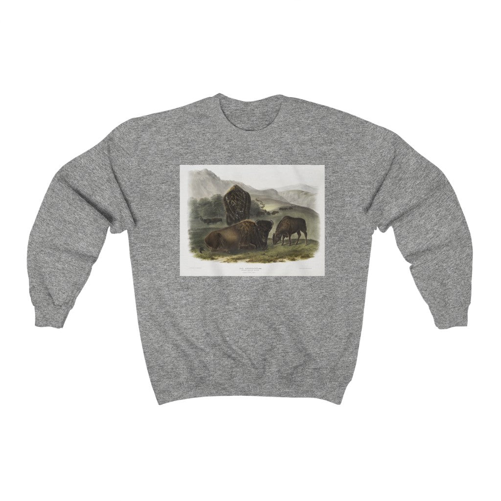 bison zoology Crewneck Sweatshirt