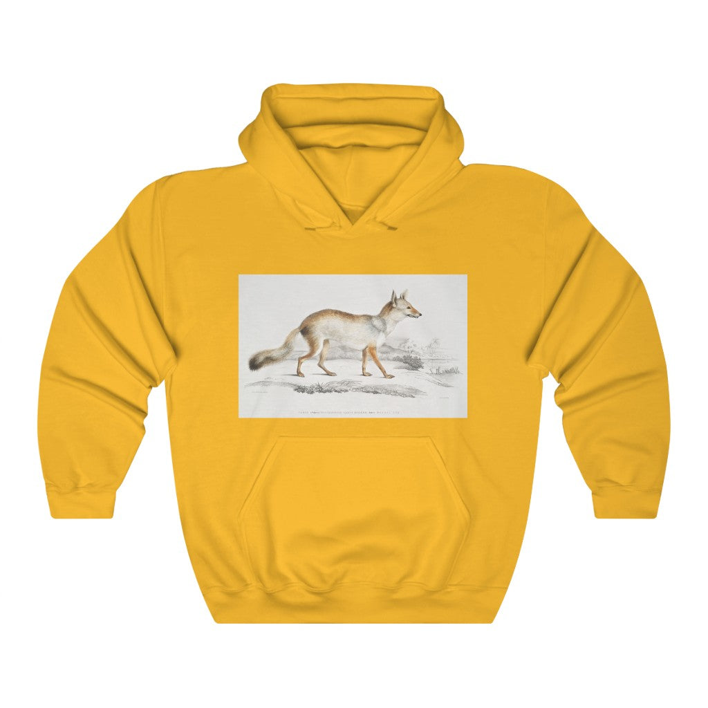 fox zoology Hooded Sweatshirt