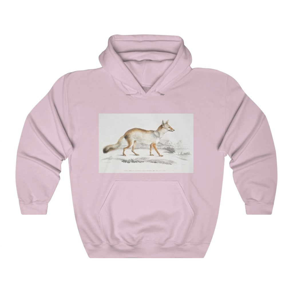 fox zoology Hooded Sweatshirt