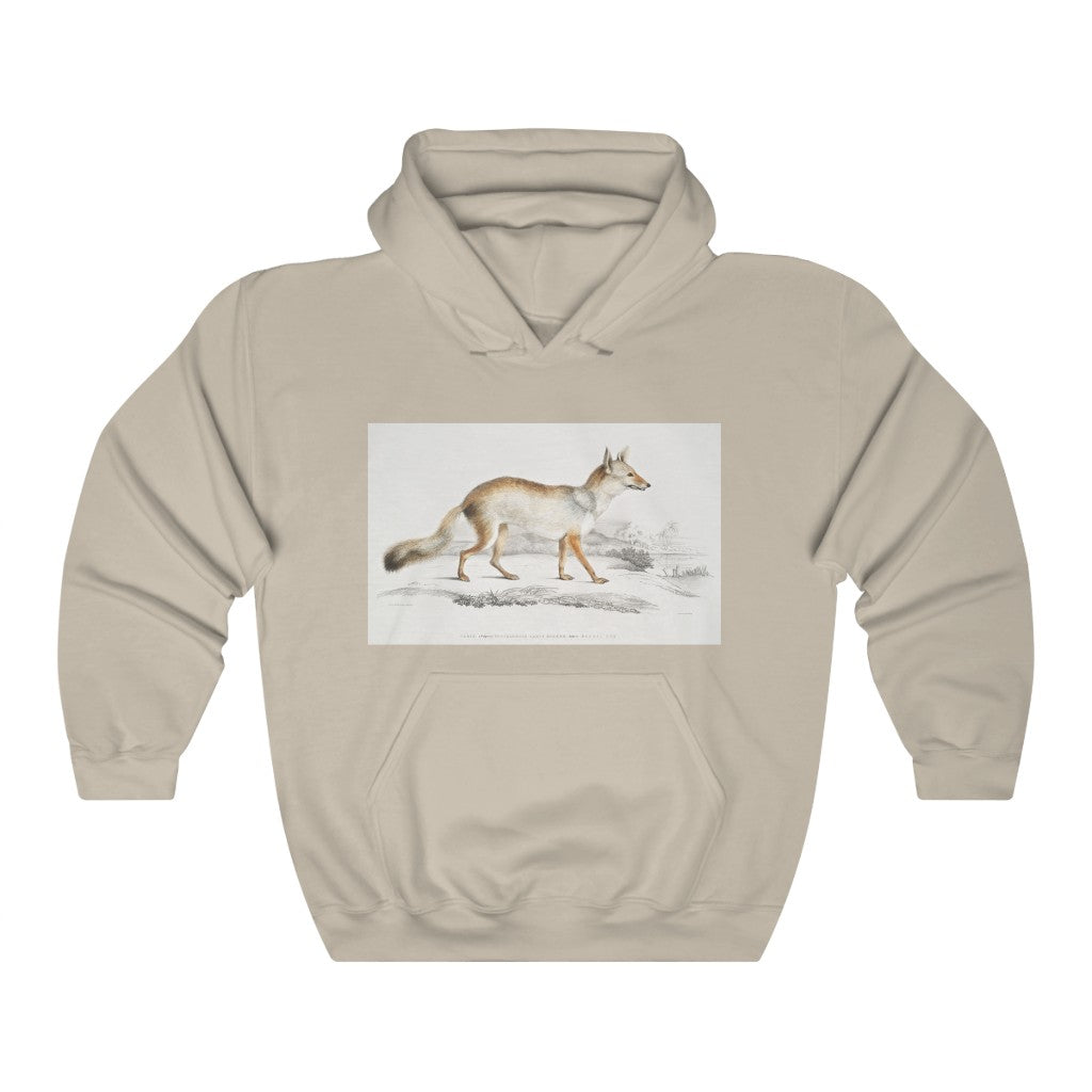 fox zoology Hooded Sweatshirt