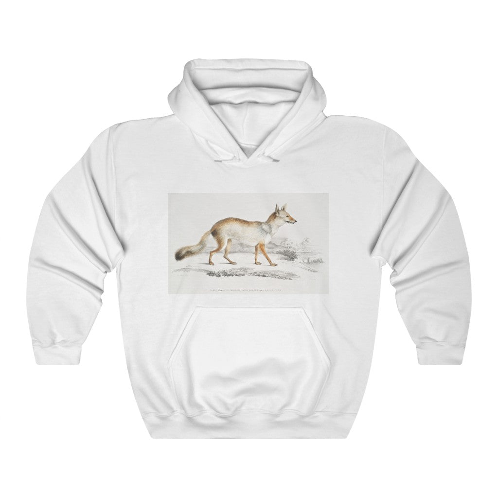 fox zoology Hooded Sweatshirt