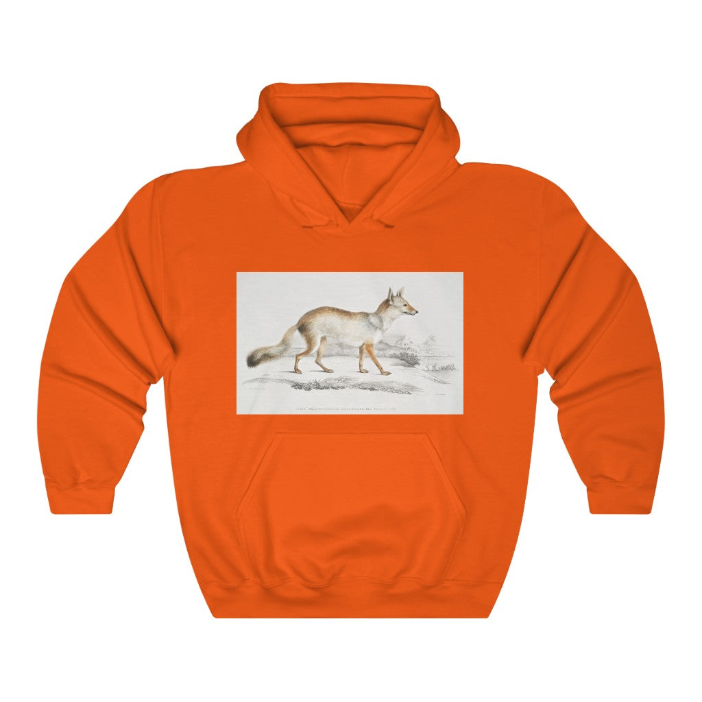 fox zoology Hooded Sweatshirt