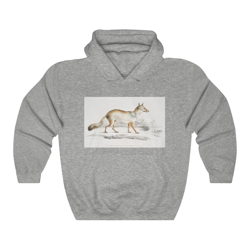 fox zoology Hooded Sweatshirt